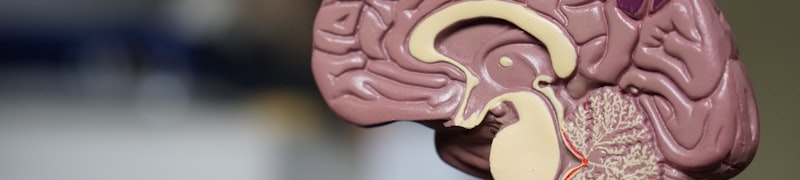 彩神vll官网深度专题栏目入口图片，展示健康研究报告、专题文章封面与深度分析图表