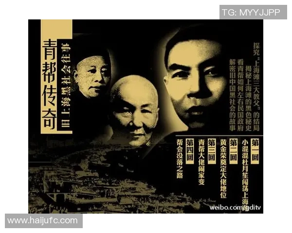 上海排球队转型之路揭秘精英赛中的新挑战与新机遇