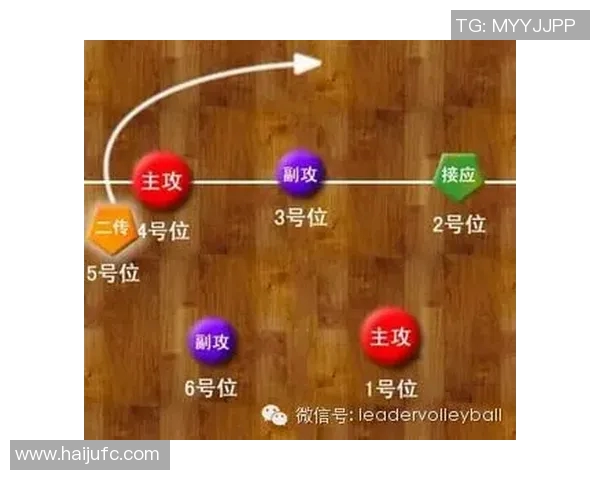 深圳排球队快攻战术解析与实战应用探讨